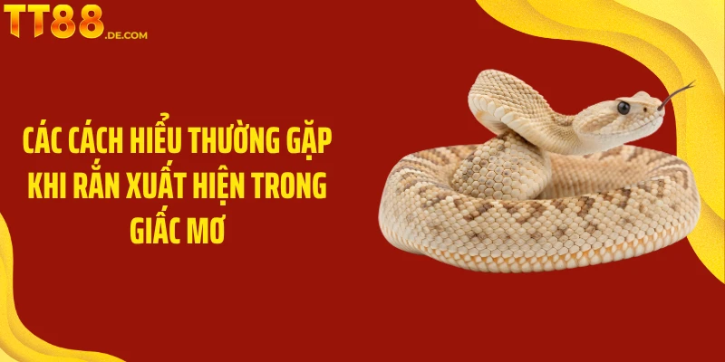 Mơ Thấy Rắn Mang Điềm Lành Hay Dữ Với Chủ Nhân Giấc Mơ - Yexor