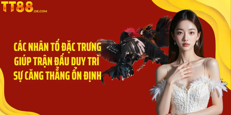 Đá Gà C1 TT88 - Đấu Trí Kịch Tính Và Hấp Dẫn Hàng Đầu - Yexor