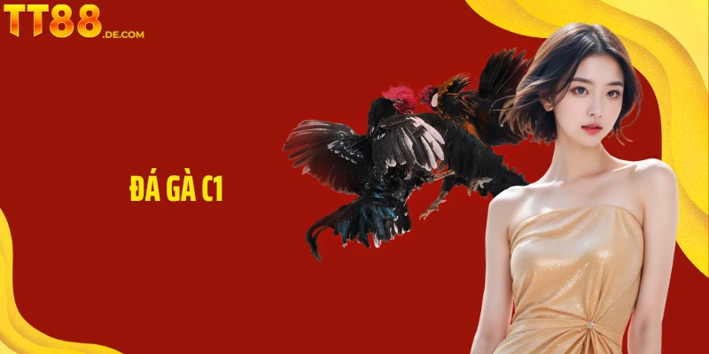Đá Gà C1 TT88 - Đấu Trí Kịch Tính Và Hấp Dẫn Hàng Đầu - Yexor