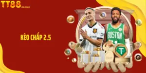 Blog TT88 – Trang Kiến Thức Toàn Diện Cho Người Mới Lẫn Pro - Yexor