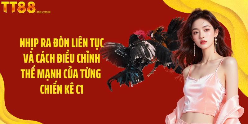 Đá Gà C1 TT88 - Đấu Trí Kịch Tính Và Hấp Dẫn Hàng Đầu - Yexor