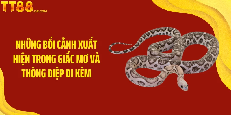 Mơ Thấy Rắn Mang Điềm Lành Hay Dữ Với Chủ Nhân Giấc Mơ - Yexor