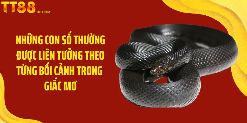 Mơ Thấy Rắn Mang Điềm Lành Hay Dữ Với Chủ Nhân Giấc Mơ - Yexor