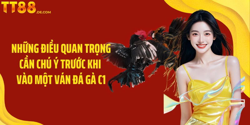Đá Gà C1 TT88 - Đấu Trí Kịch Tính Và Hấp Dẫn Hàng Đầu - Yexor