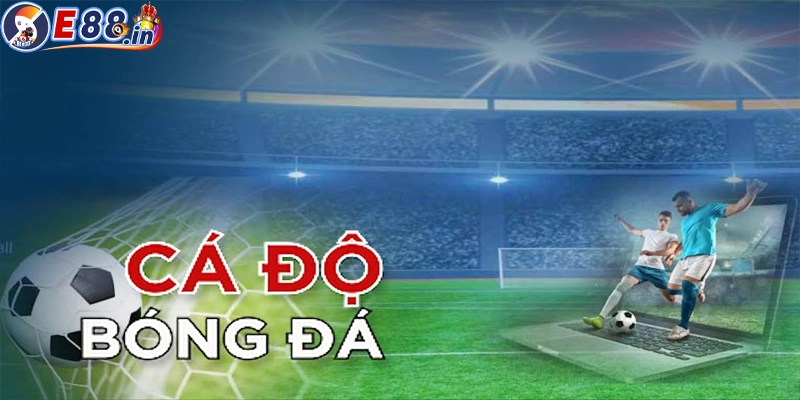 Cá Độ Bóng Đá Online Có Gì Hấp Dẫn? Cách Chơi Cho Người Mới - Yexor