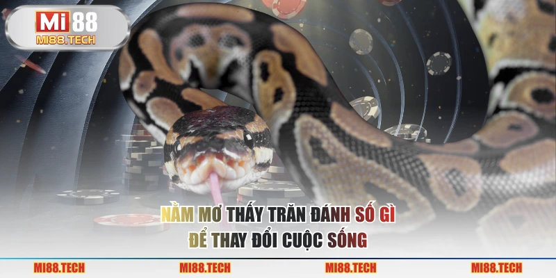Nằm Mơ Thấy Trăn Đánh Số Gì? Điềm Báo Tốt Hay Là Điềm Xấu? - Yexor