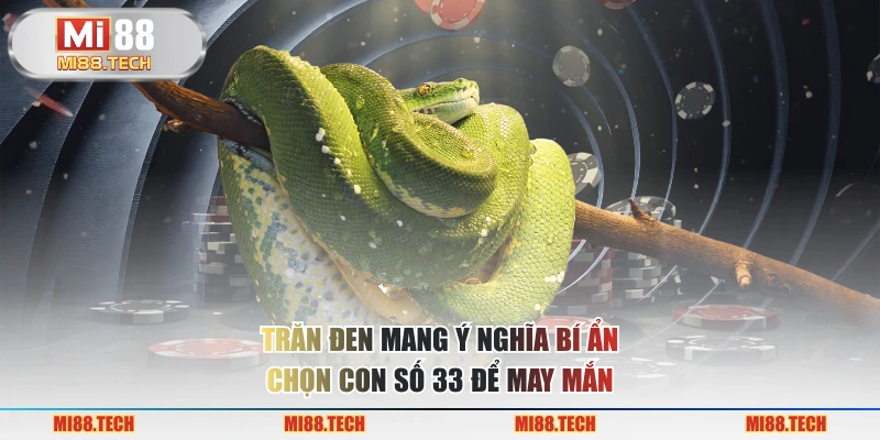Nằm Mơ Thấy Trăn Đánh Số Gì? Điềm Báo Tốt Hay Là Điềm Xấu? - Yexor