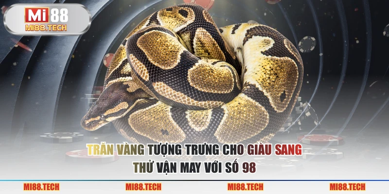 Nằm Mơ Thấy Trăn Đánh Số Gì? Điềm Báo Tốt Hay Là Điềm Xấu? - Yexor