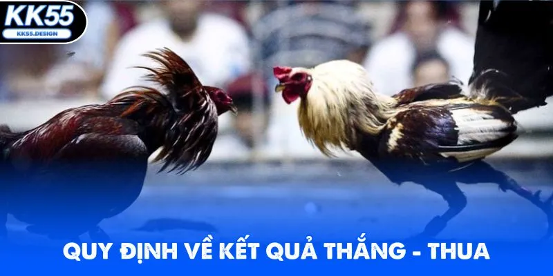 Luật Đá Gà KK55 - Bí Kíp Thắng Lớn Cho Người Chơi Mới - kk55 - Yexor