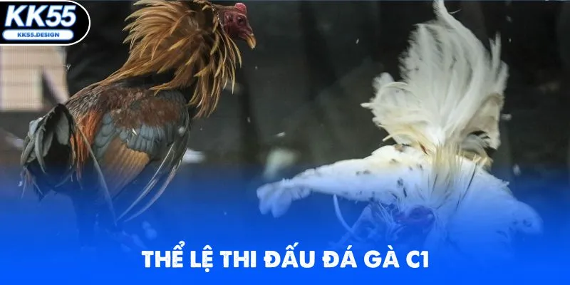 Đá Gà C1 - Chinh Phục Các Trận Chọi Kê Hot Nhất 2026 - Yexor