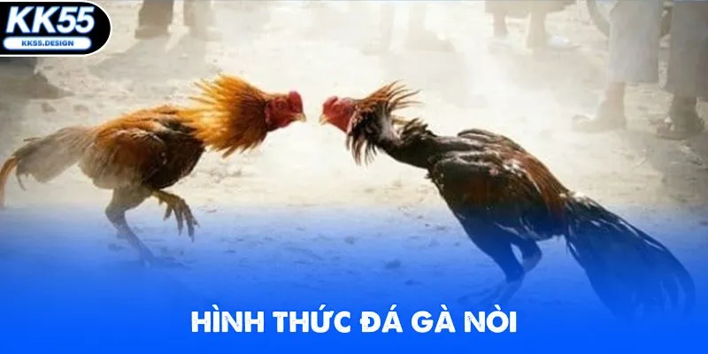 Đá Gà C1 - Chinh Phục Các Trận Chọi Kê Hot Nhất 2026 - Yexor