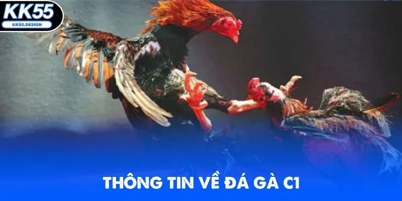Đá Gà C1 - Chinh Phục Các Trận Chọi Kê Hot Nhất 2026 - Yexor