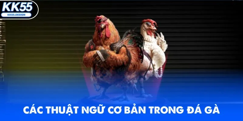 Luật Đá Gà KK55 - Bí Kíp Thắng Lớn Cho Người Chơi Mới - kk55 - Yexor